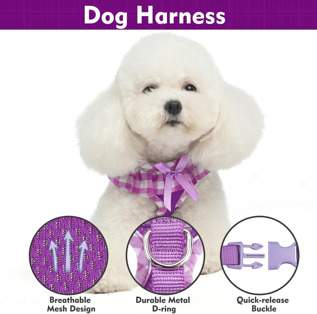 EXPAWLORER Step-in Small Dog Harness and Leash Set, Purple M