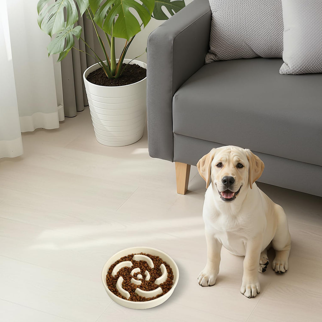 Ceramic Slow Feeder Dog Bowl, 2 Cups Maze Puzzle Dish to Slow Down Eating