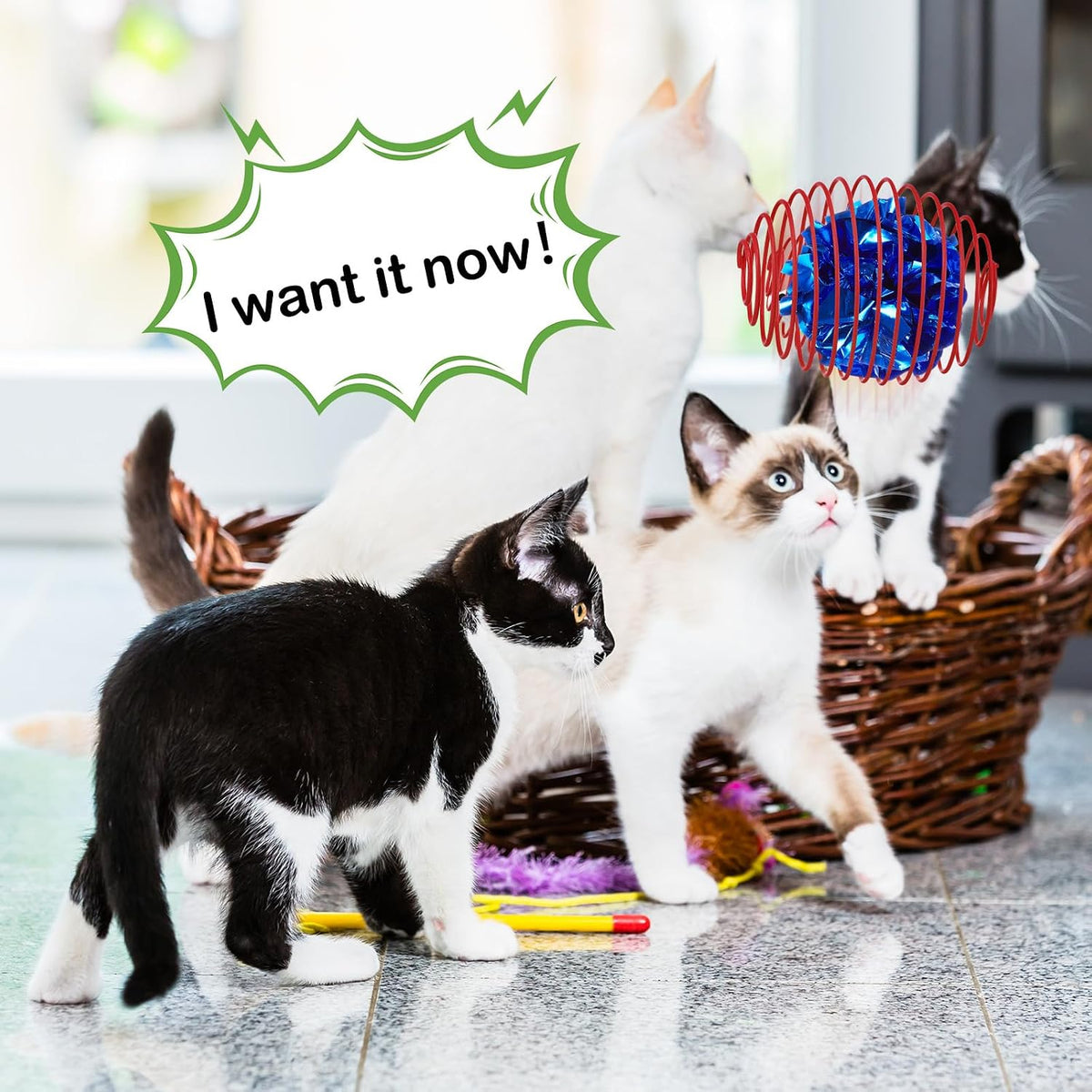 Jecery 5 Pcs Cat Toys Spring,Crinkle Ball,Multicolor