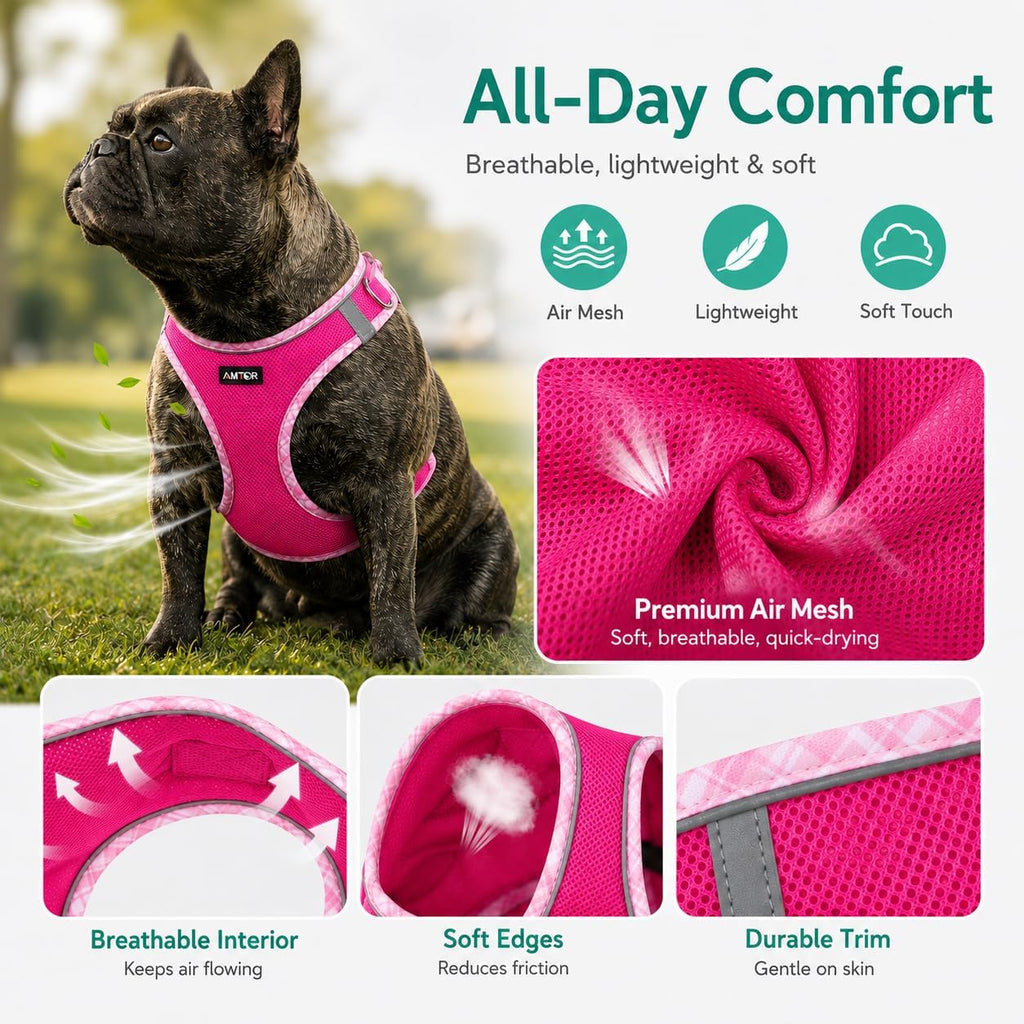 AMTOR Small Dog Harness with Leash Set, No Escape Easy Walk Puppy Harnesses for Training Walking, Step-in Reflective Soft Dogs Vest for XS S Medium Extra-Small Large Sized Dog(Fuchsia,XL)