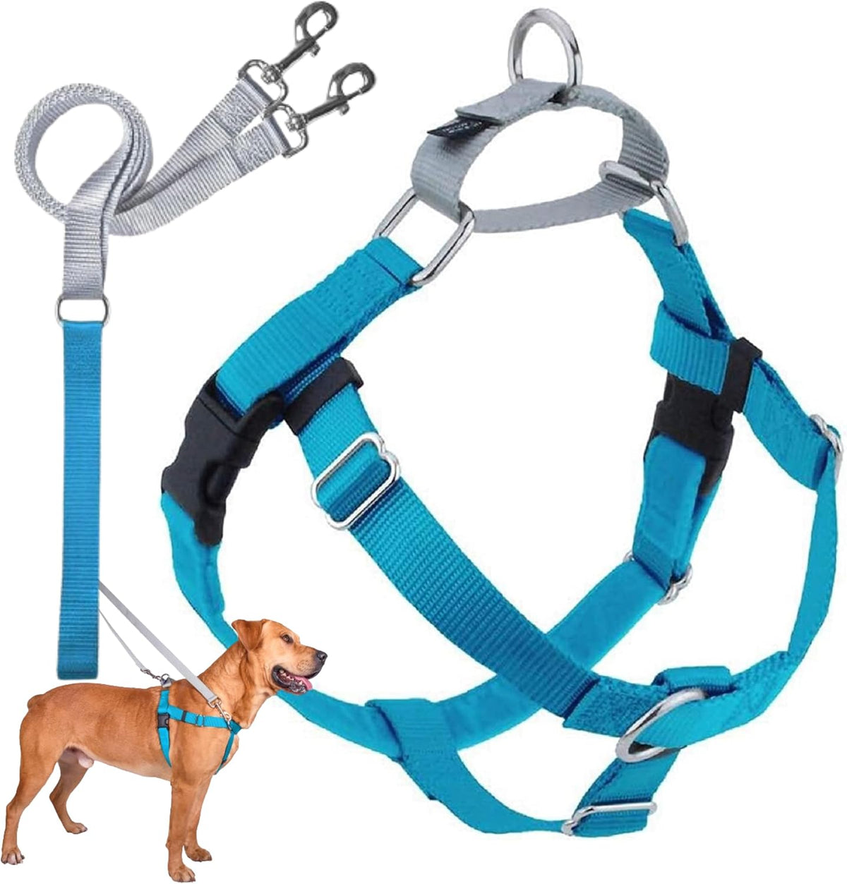 2 Hounds Design Freedom No Pull Dog Harness and Leash, 1" MD, Turquoise