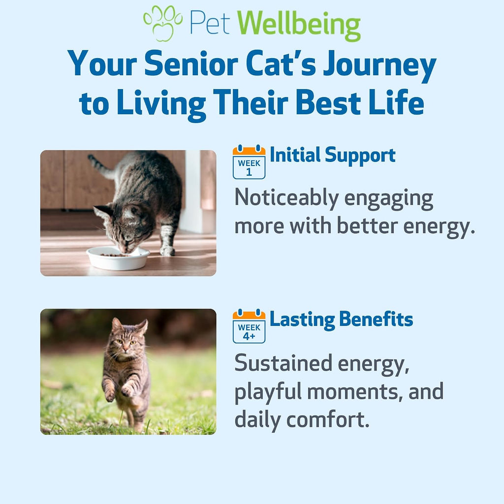 Pet Wellbeing Old Friend for Cats - Senior Immune & Cognitive, 2 oz