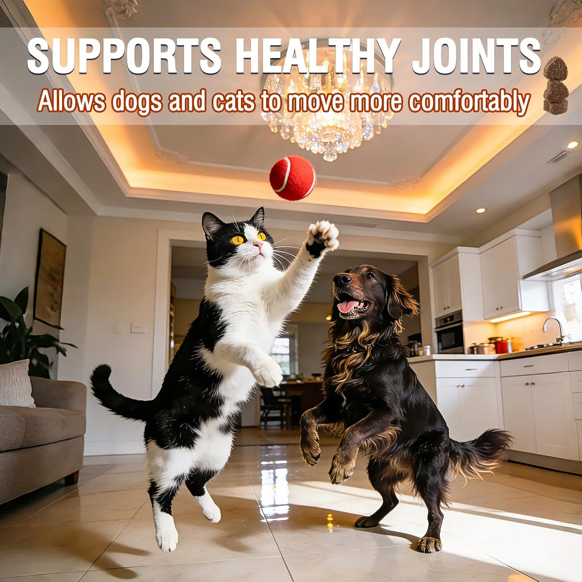 Hip & Joint Health Supplement for Dogs and Cats（150 Chews）,Contains Glucosamine, Plus Chondroitin and MSM, Supports Healthy Joints, for All Breeds and Sizes