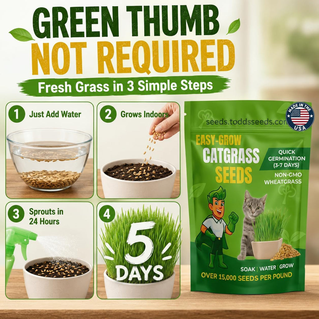Todd's Seeds Cat Grass Wheatgrass Seeds, 1/2 lb - Non-GMO, Pet Safe