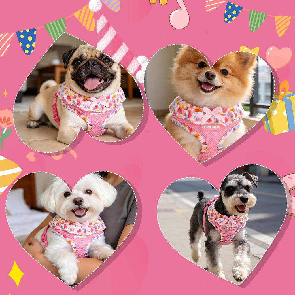 EXPAWLORER Step-in Small Dog Harness and Leash Set, Pink Floral M