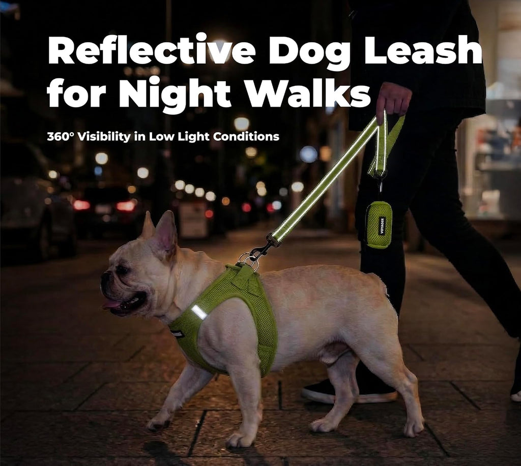 Best Pet Supplies Voyager Nylon Dog Leash - Lime Green, Small