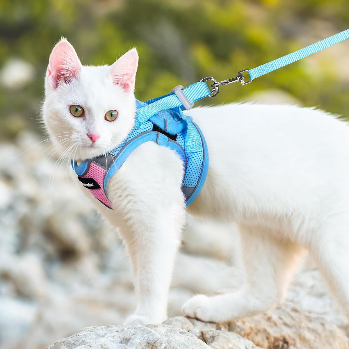 Dooradar Cat Harness and Leash Set, Easy-on Vest, Pink & Blue