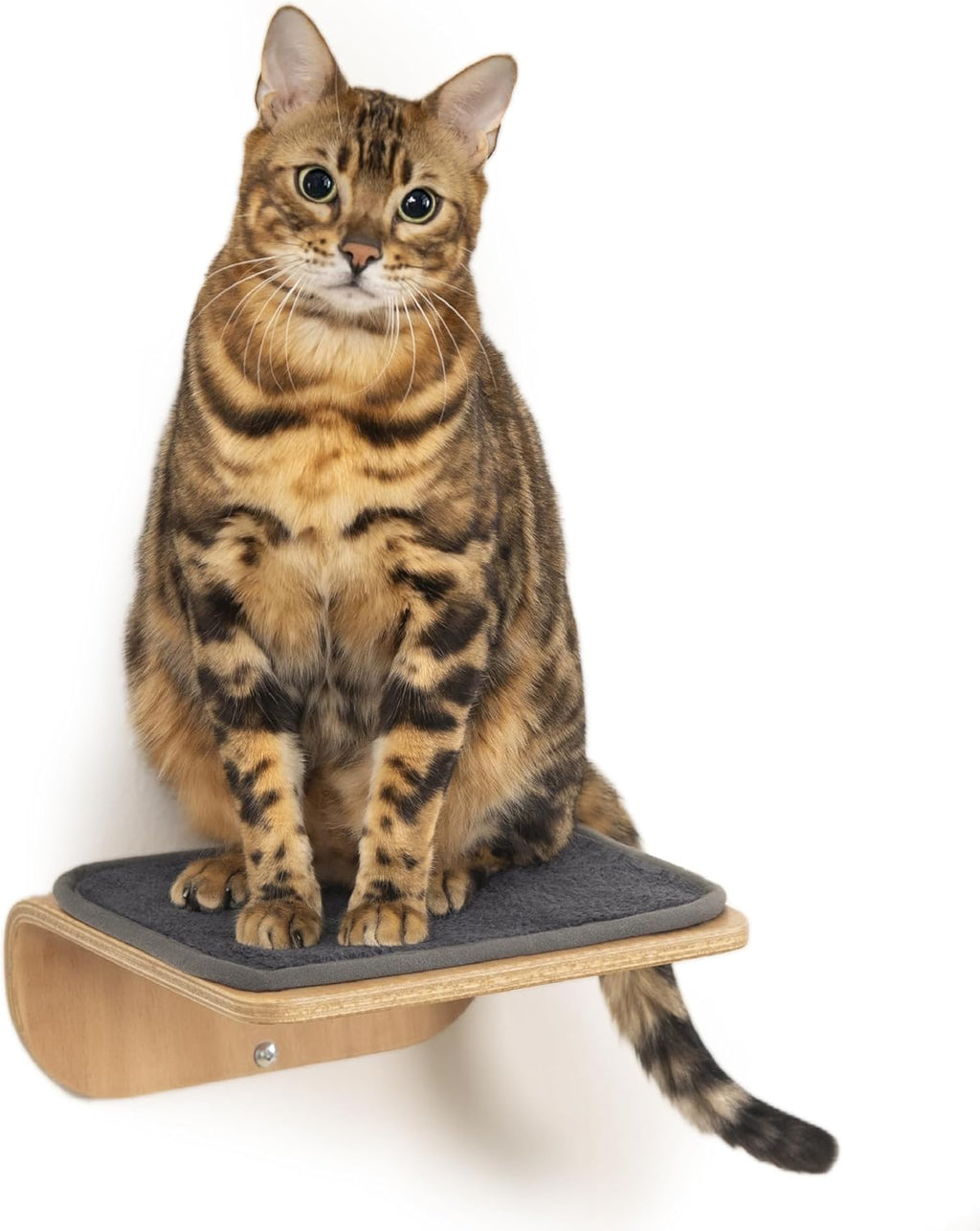 Cat Wall Shelves for Cat Wall Steps, Perch, Ladder, Wooden Floating Modern Mounted Space Saving Furniture with Scratching Cushion Removal Cover for Climbing, Jumping and Sleeping (Step)