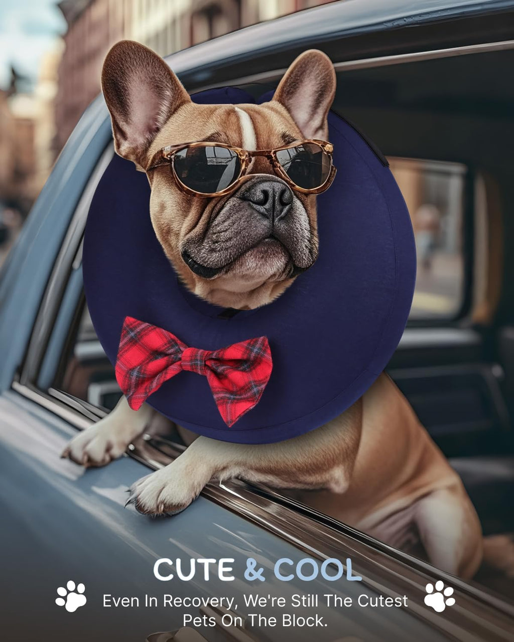 MIDOG Inflatable Dog Cone, Soft Donut Recovery Collar, Bow Tie, Large+