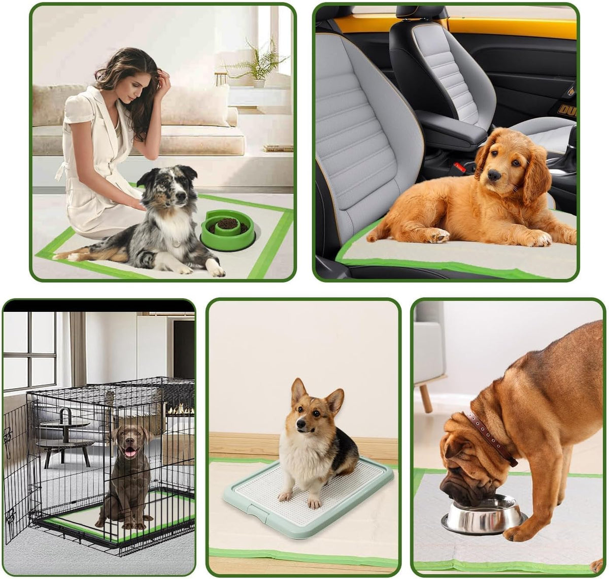 Gardner Pet Dog Pee Pads Rugular 22"x22", Thicker ECO Green Small Disposable Puppy Training Pads Super Absorbent Full Edge-Wrapping Pad for Dogs, Puppies, Doggies, Cats-(40 Count)