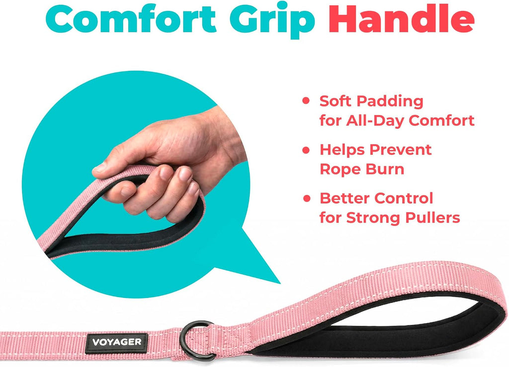 Best Pet Supplies Voyager Nylon Dog Leash - Pink, Large