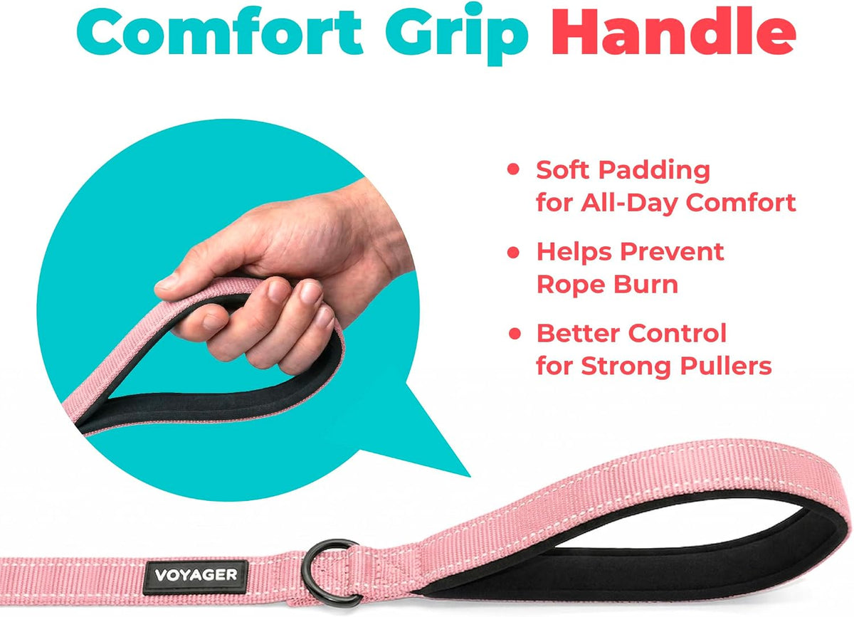 Best Pet Supplies Voyager Nylon Dog Leash - 6ft Pink, Large