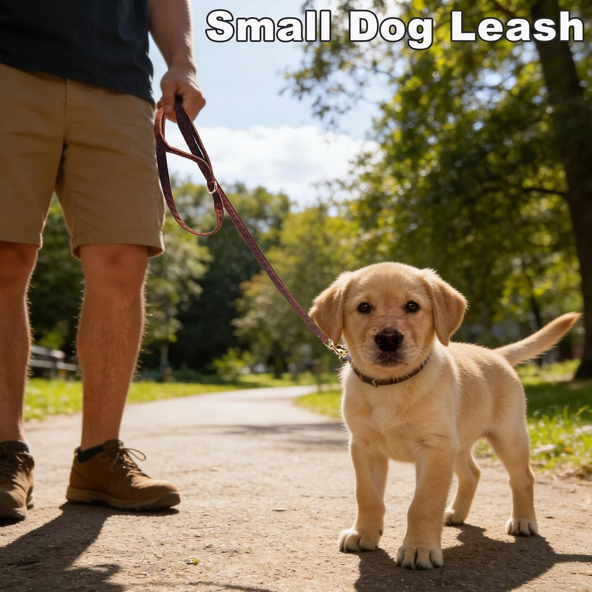 Cotton Dog Leash for Small Dogs 6ft Puppy Walking Training Lead