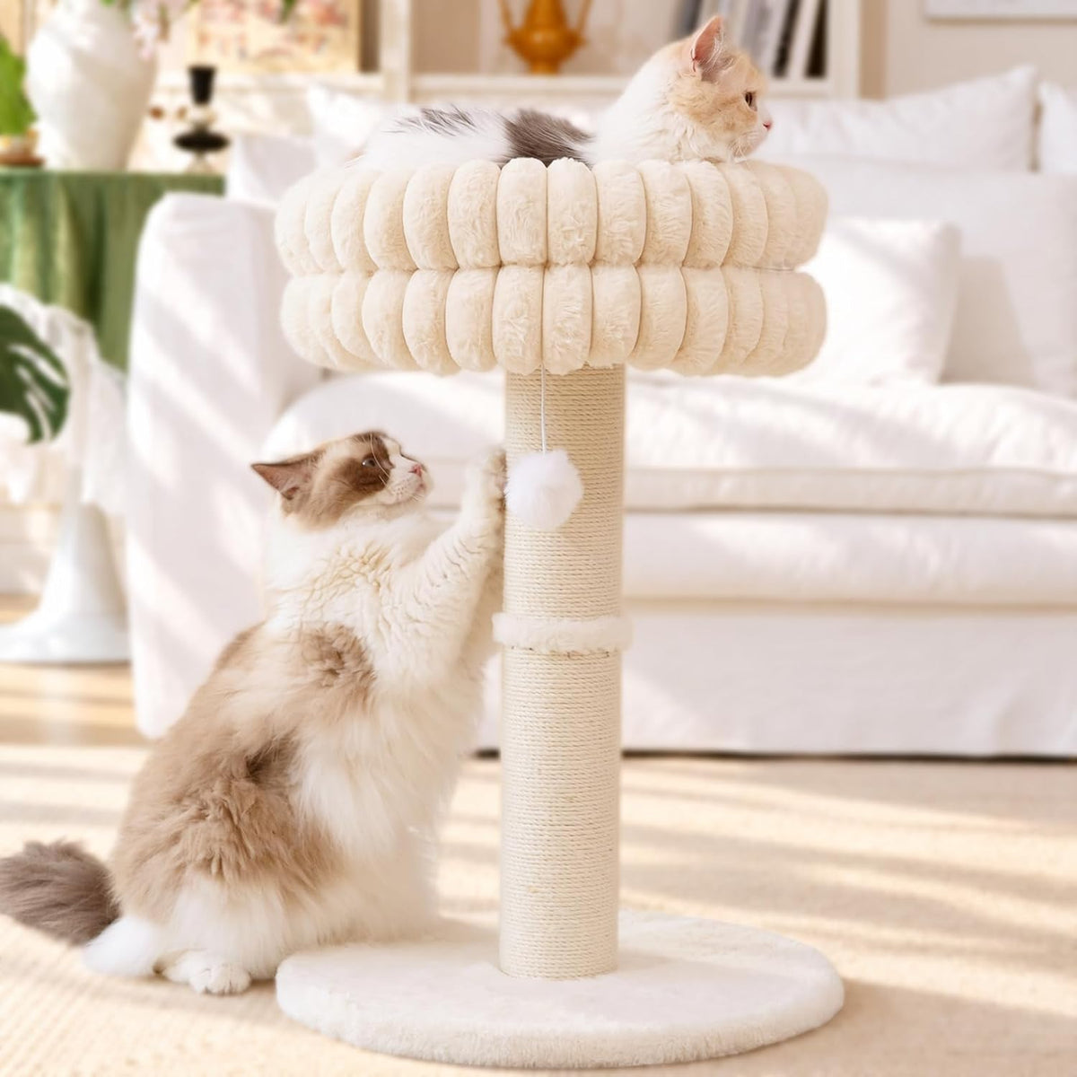 CHEERPALS Cat Scratching Post with Bed for Indoor Cats Cloud Cat Tree