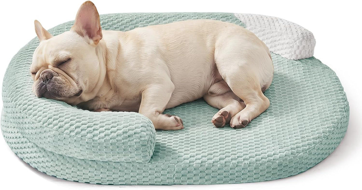JOEJOY Orthopedic Dog Bed Medium Size Dogs, Waterproof Washable Oval Dog Beds with Removable Cover, Egg-Crate Memory Foam Pet Bed with Bolster Sides & Non-Skid Bottom, Green, 28''x20''
