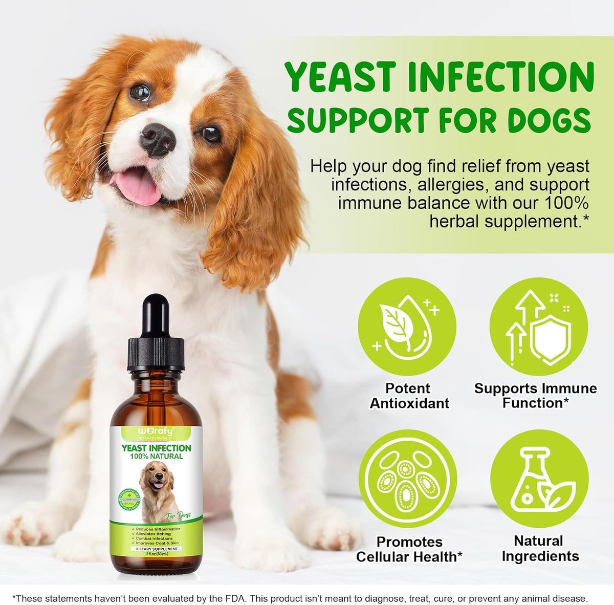 Natural Dog Yeast Infection Treatment for Itchy Skin, Ears & Paws, Soothes Irritation & Relieves Discomfort from Allergies, Supports Healthy Itch Relief, Improves Coat & Skin, Herbal Supplement Drops