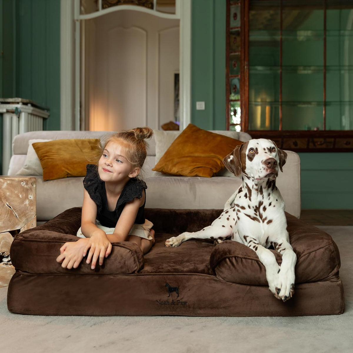 NOAH & PAW Large Dog Bed, Orthopedic Memory Cooling Foam (2X Base) 45x35x11