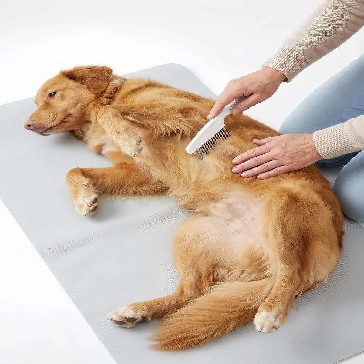 2 Pcs Pet Grooming & Flea Combs, Moderate Tooth Spacing, Effectively Remove Fleas and Tangled Hair, Suitable for Grooming All Kinds Of Pets