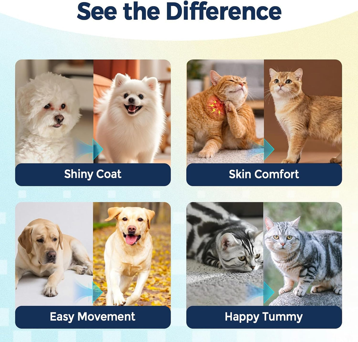 Collagen for Dogs - Liquid Collagen for Dogs & Cats with 5 Collagen Types(I, II, III, V & X) for Skin & Coat, Itch Relief, Hip & Joint, Plus 30B CFU Probiotics, Hyaluronic Acid & Vitamin C,60 Ampoules