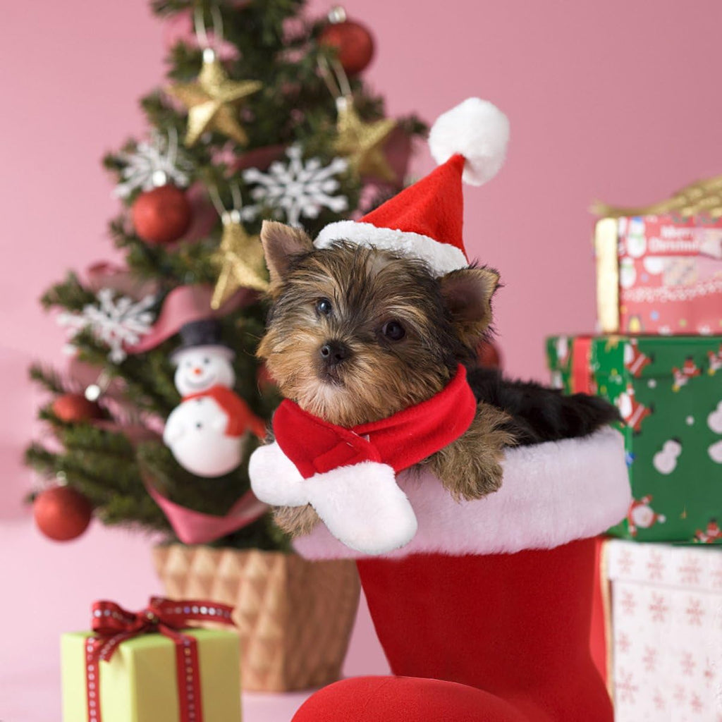 NAMSAN Pet Christmas Costume for Cats Small Dogs Rabbits, Santa Cat Hat with Red Scarf, Small Dog Xmas Hat Scarves, Red Christmas Cat Outfit for Holiday Party Cosplay Statue Decoration