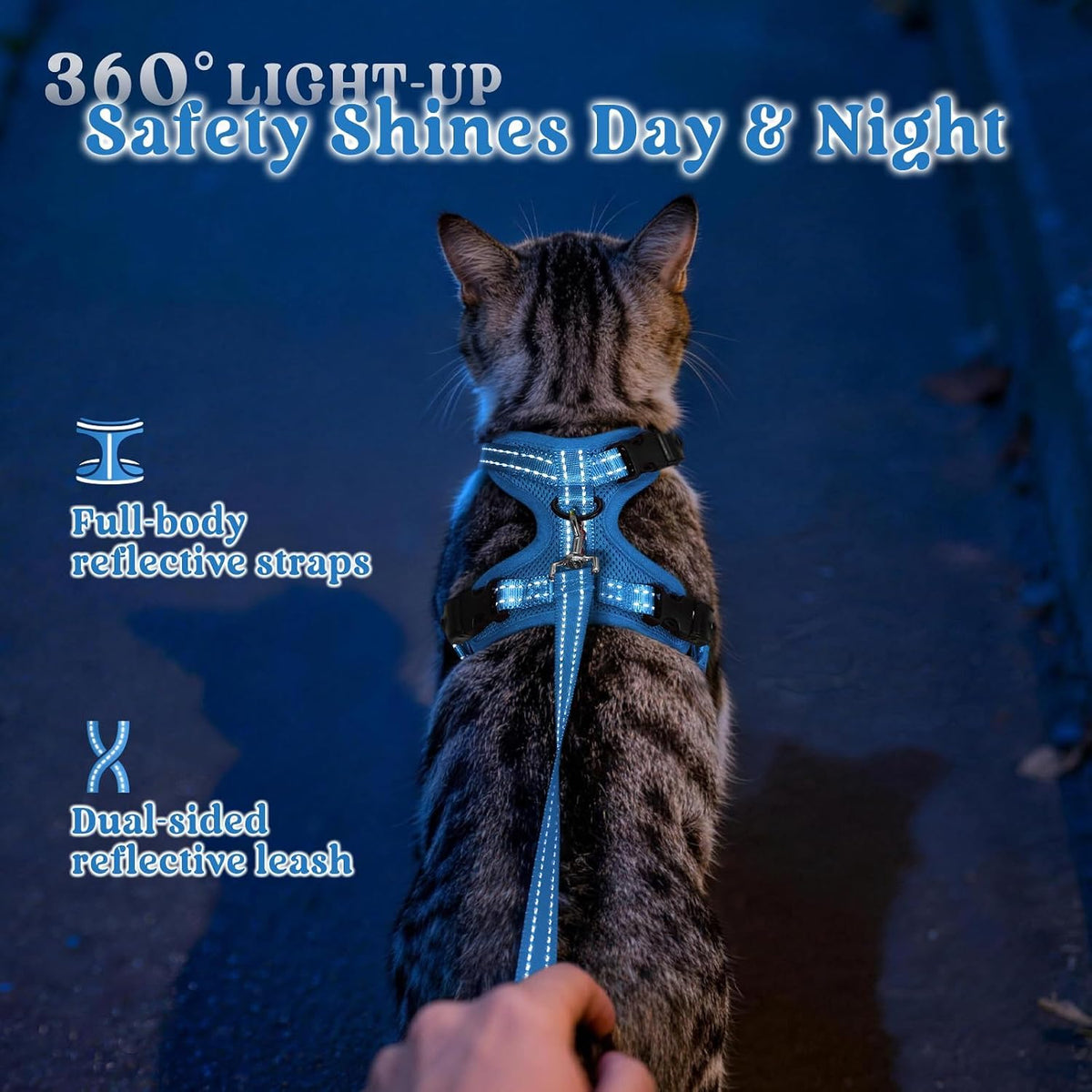 rabbitgoo Cat Harness and Leash, Easy-on with Neck Buckle, Royal Blue