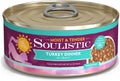 Soulistic Moist and Tender, Turkey Dinner in Gravy, 5.5oz Can, Pack of 8