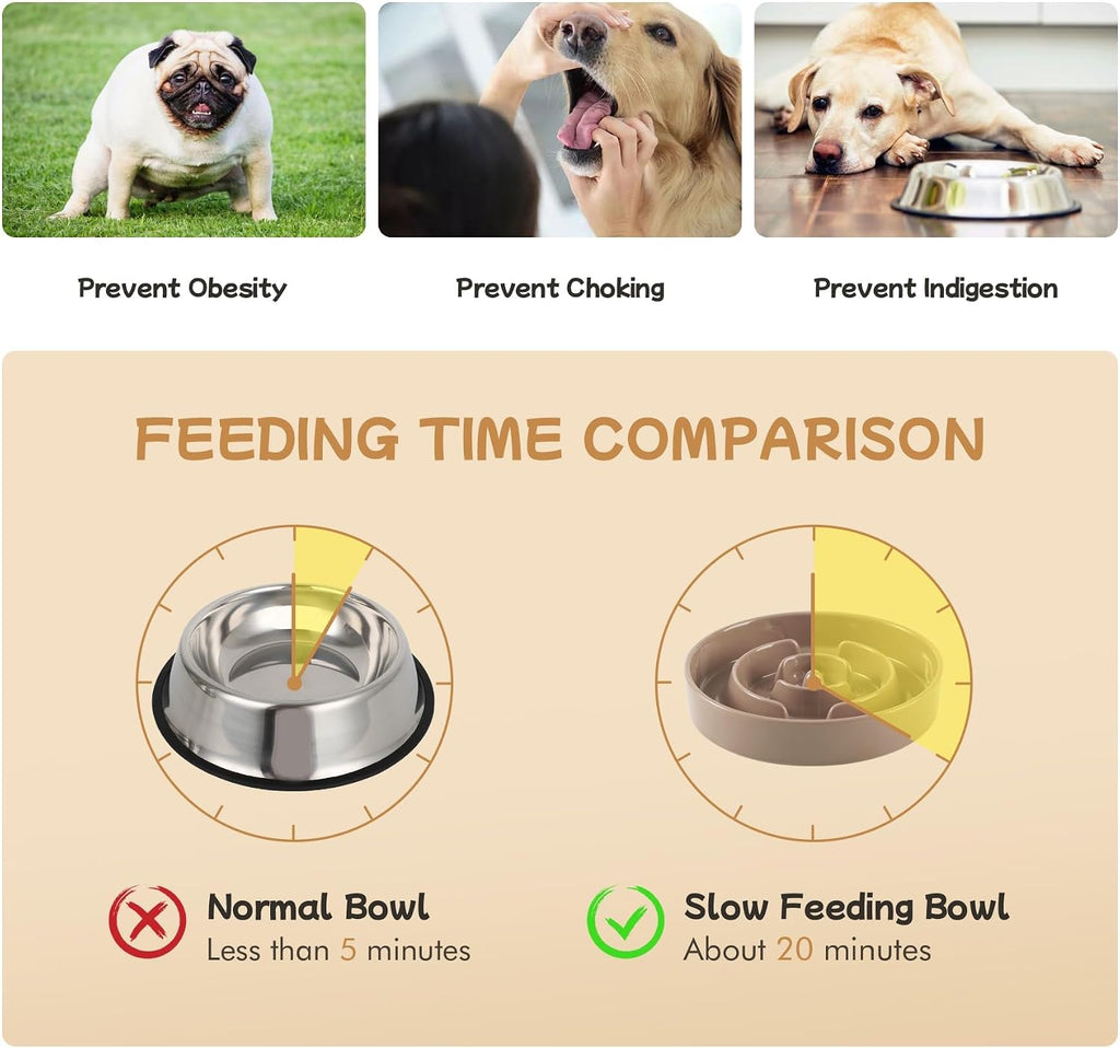 Havniva Elevated Slow Feeder Dog Bowls, 6.1 in Ceramic Slow Feeder Bowl Set