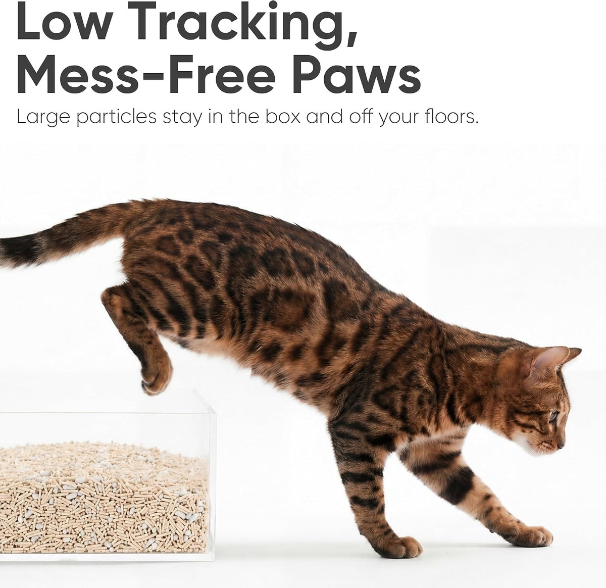 FUKUMARU Tofu Cat Litter, SAP Absorbent, Clumping, Odor Control, 18 lb