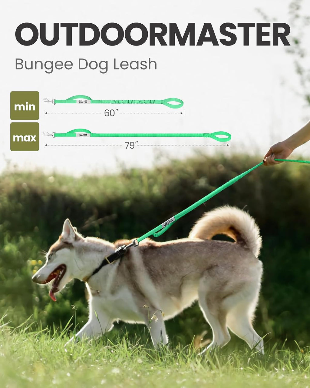 OutdoorMaster Bungee Dog Leash with Shock Absorption, Seatbelt-Buckle