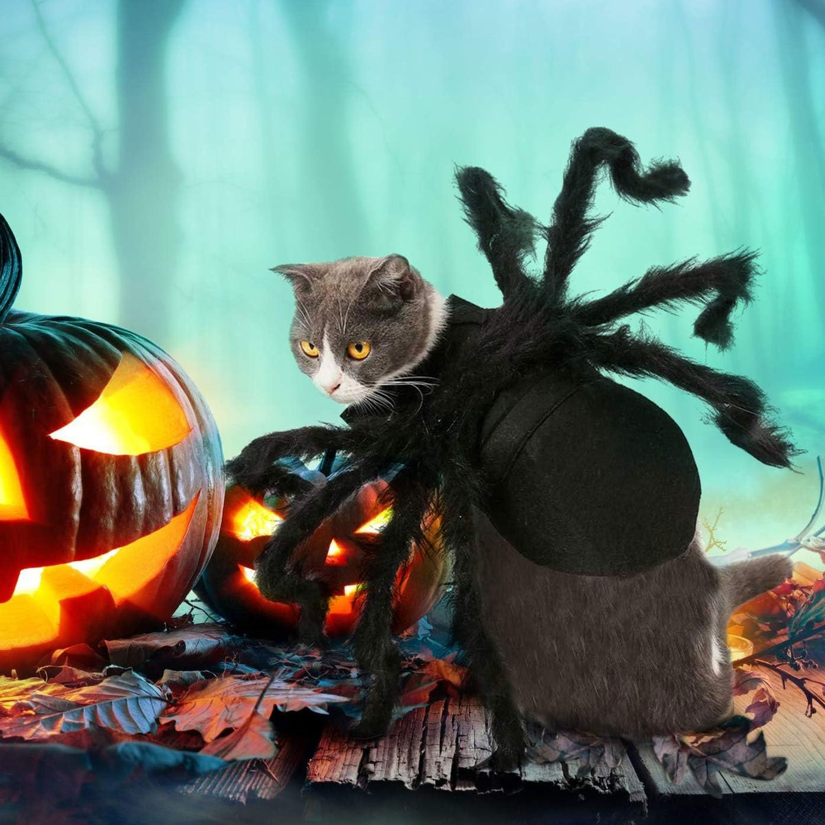 Halloween Spider Costume for Dog Cat, Halloween Pet Costume Halloween Decorations, Spider Decor Halloween Party Supply, Spider Cosplay Costumes with Adjustable Velcro for Small Medium Dogs and Cats