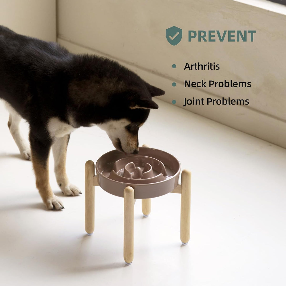 Havniva Elevated Slow Feeder Dog Bowls, 8.3 in Ceramic Slow Feeder Bowls