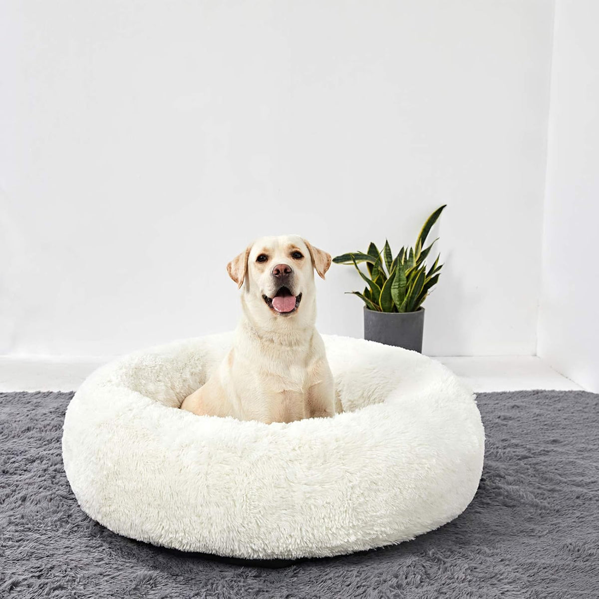Washable Dog Round Bed - XLarge Donut Dog Bed, Comfy Calming Cuddler