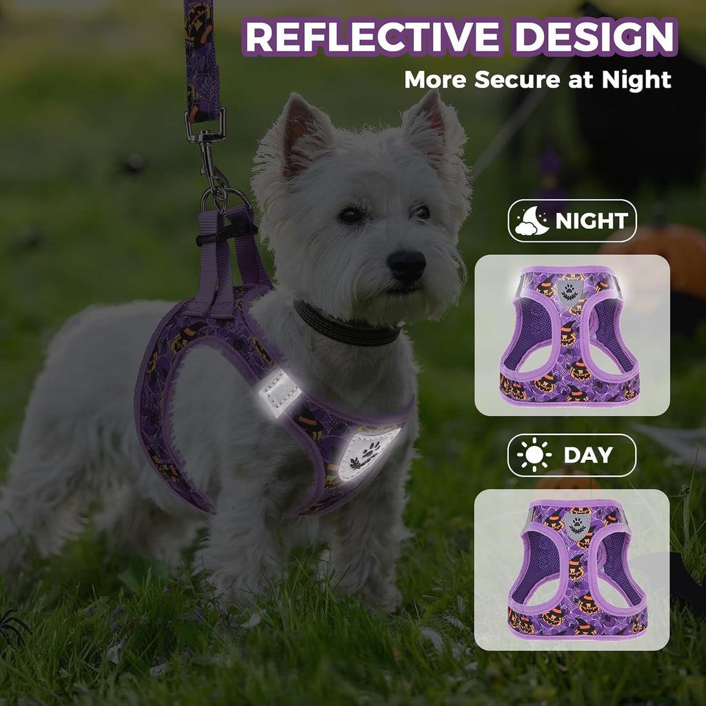 PAWCHIE Halloween Dog Harness and Leash Set, Step in No Pull Soft Pet Harness, Reflective Adjustable Puppy Vest for Medium Dogs,No Choke Harness Vest with Poop Bag Holder for Walking,Running,Purple M