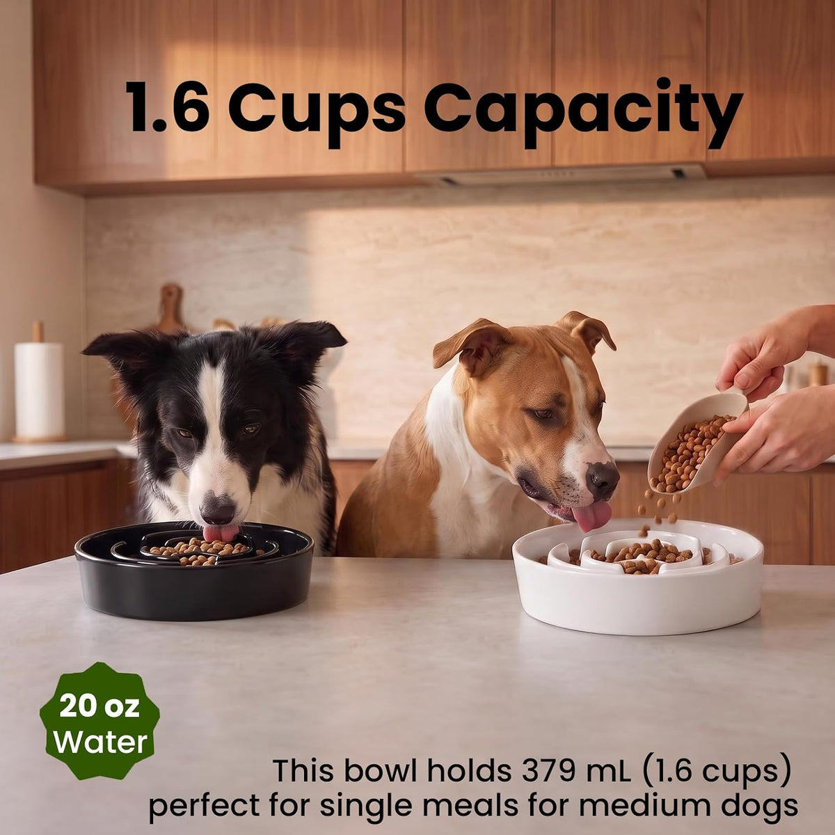 2 Pack Ceramic Slow Feeder Dog Bowls 1.6 Cups for Medium & Small Fast Eater