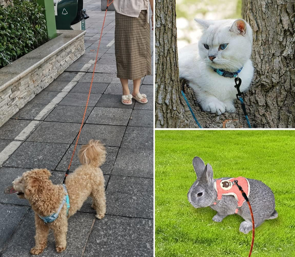 WYuZe Reflective XS Rope Dog Leash 6/10/15FT for Small Dogs Cat up to 15lbs
