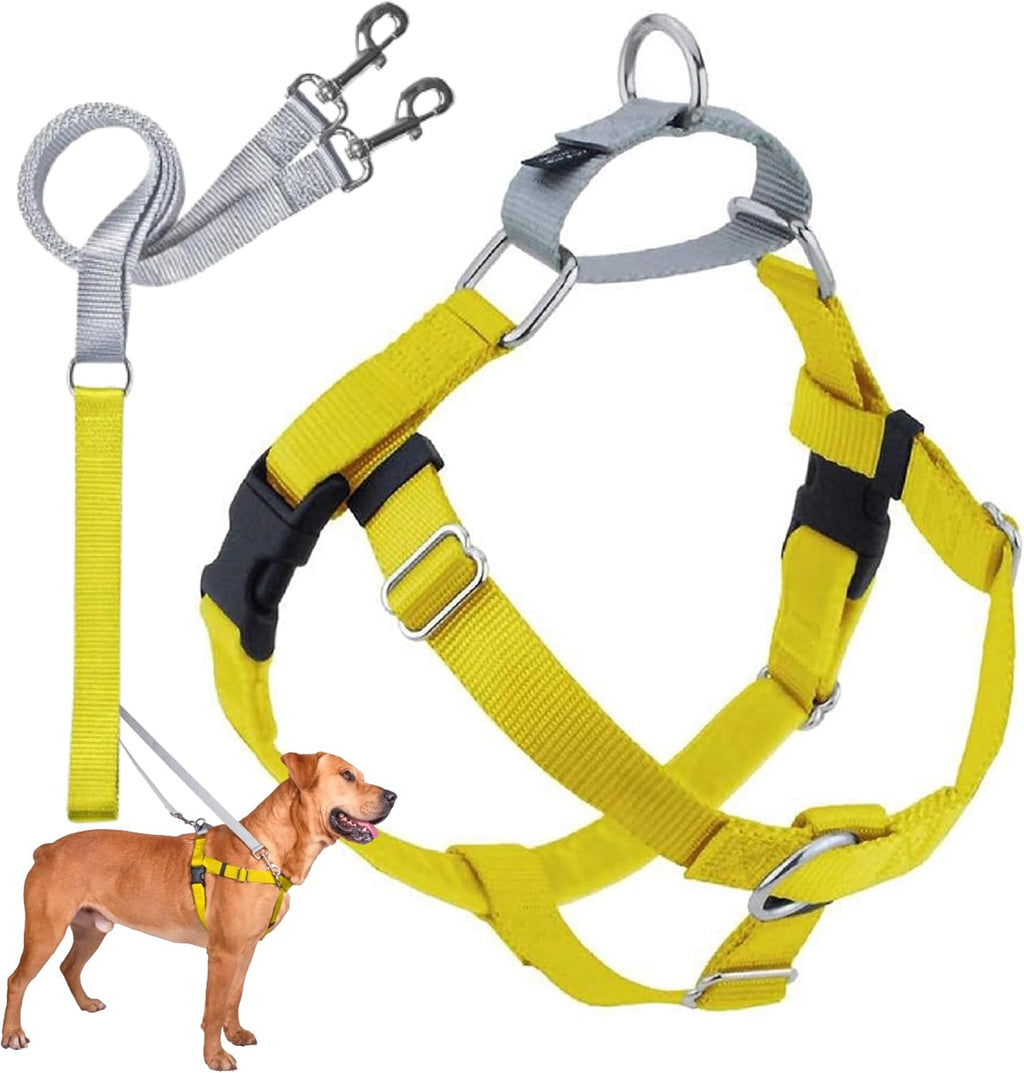 2 Hounds Design Freedom No Pull Dog Harness and Leash, 1" MD, Yellow