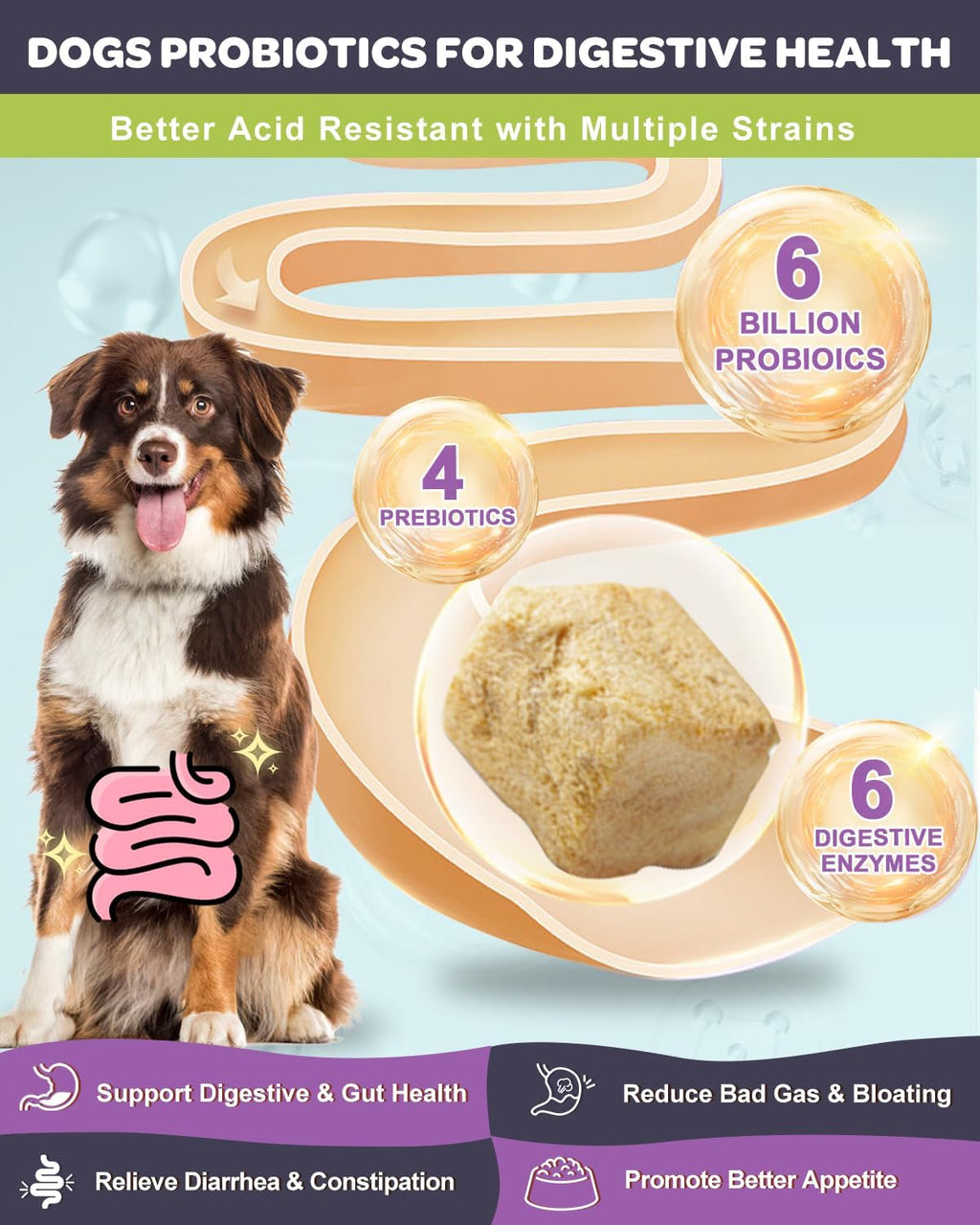 NATURE TARGET Probiotics for Dogs, Salmon-Flavored - 120 Counts