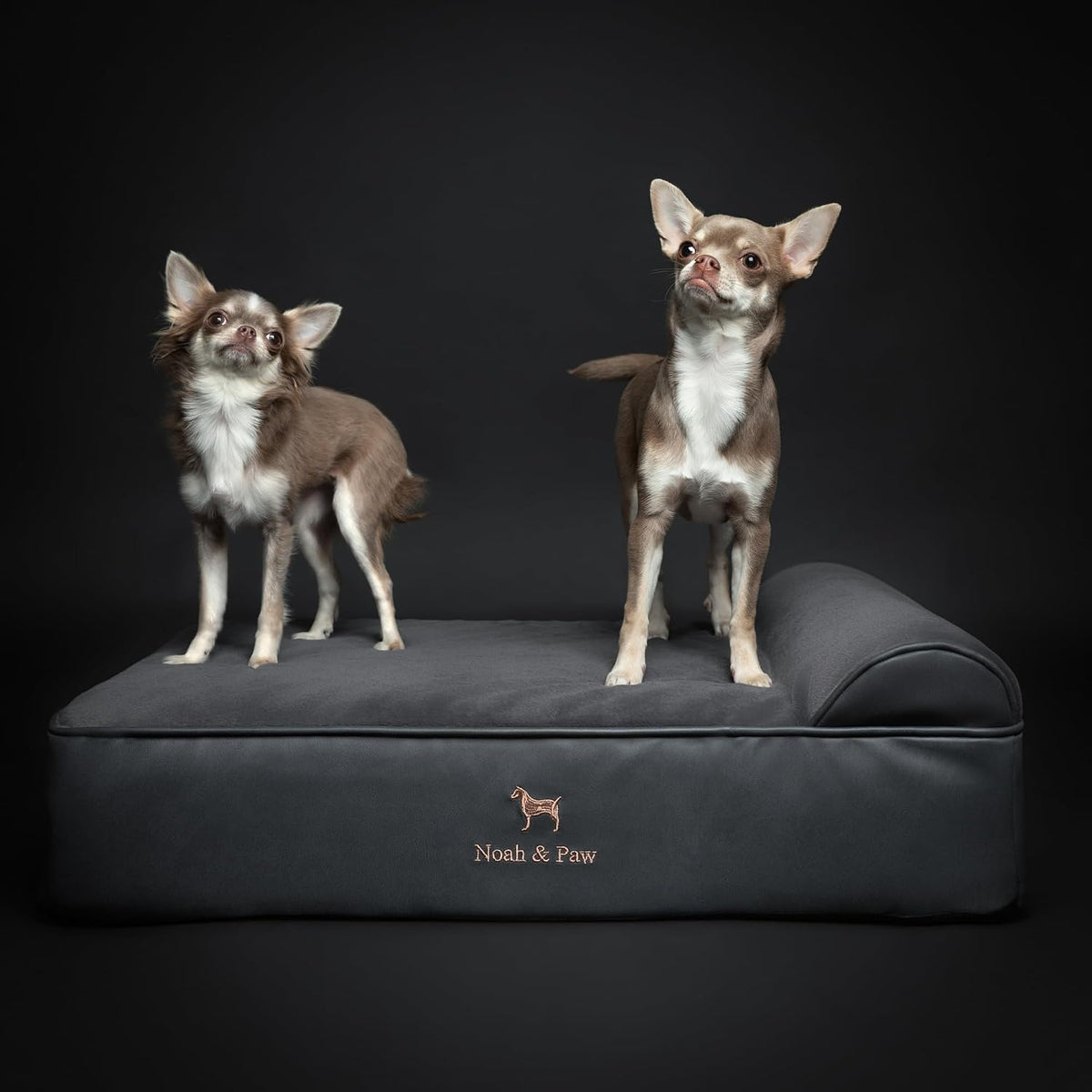 NOAH & PAW Medium Dog Bed Orthopedic Memory Foam Cooling Gel 28x23x7.5 in