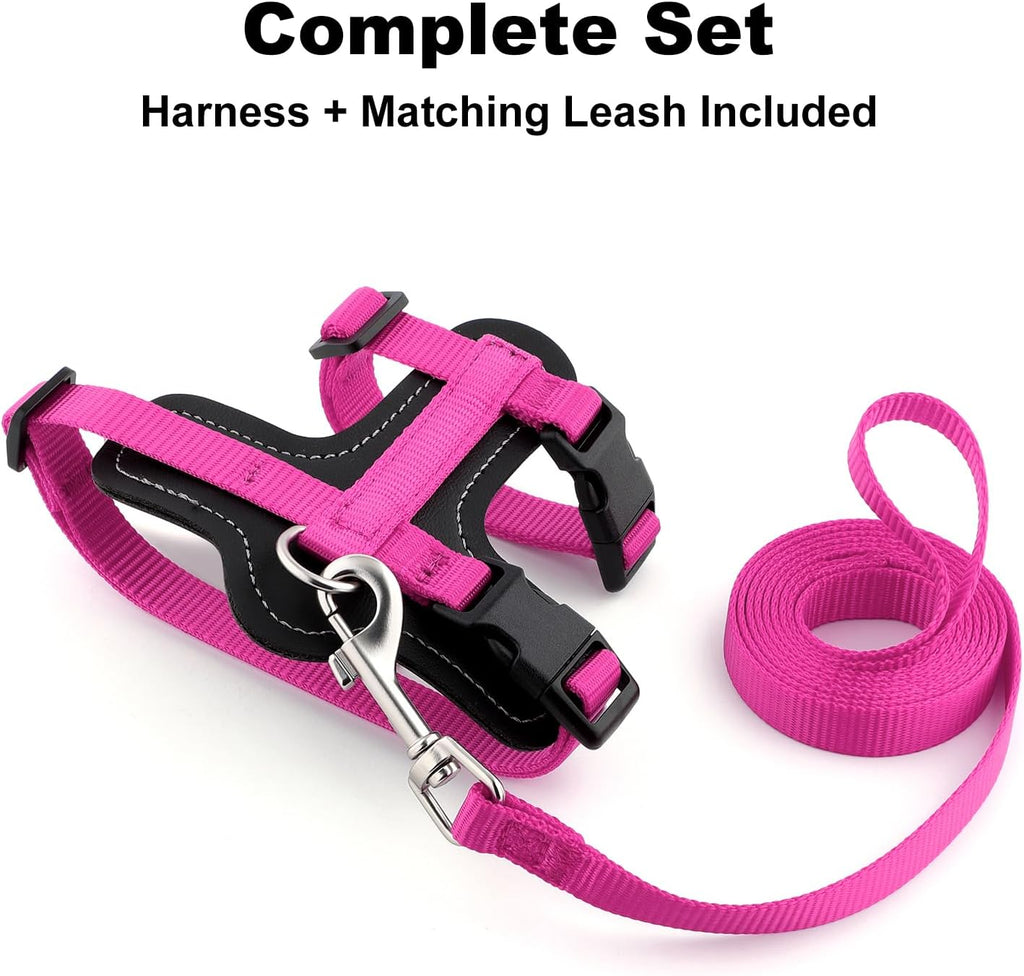 Plutus Pet Adjustable Cat Harness and Leash Set, with Leather Trim