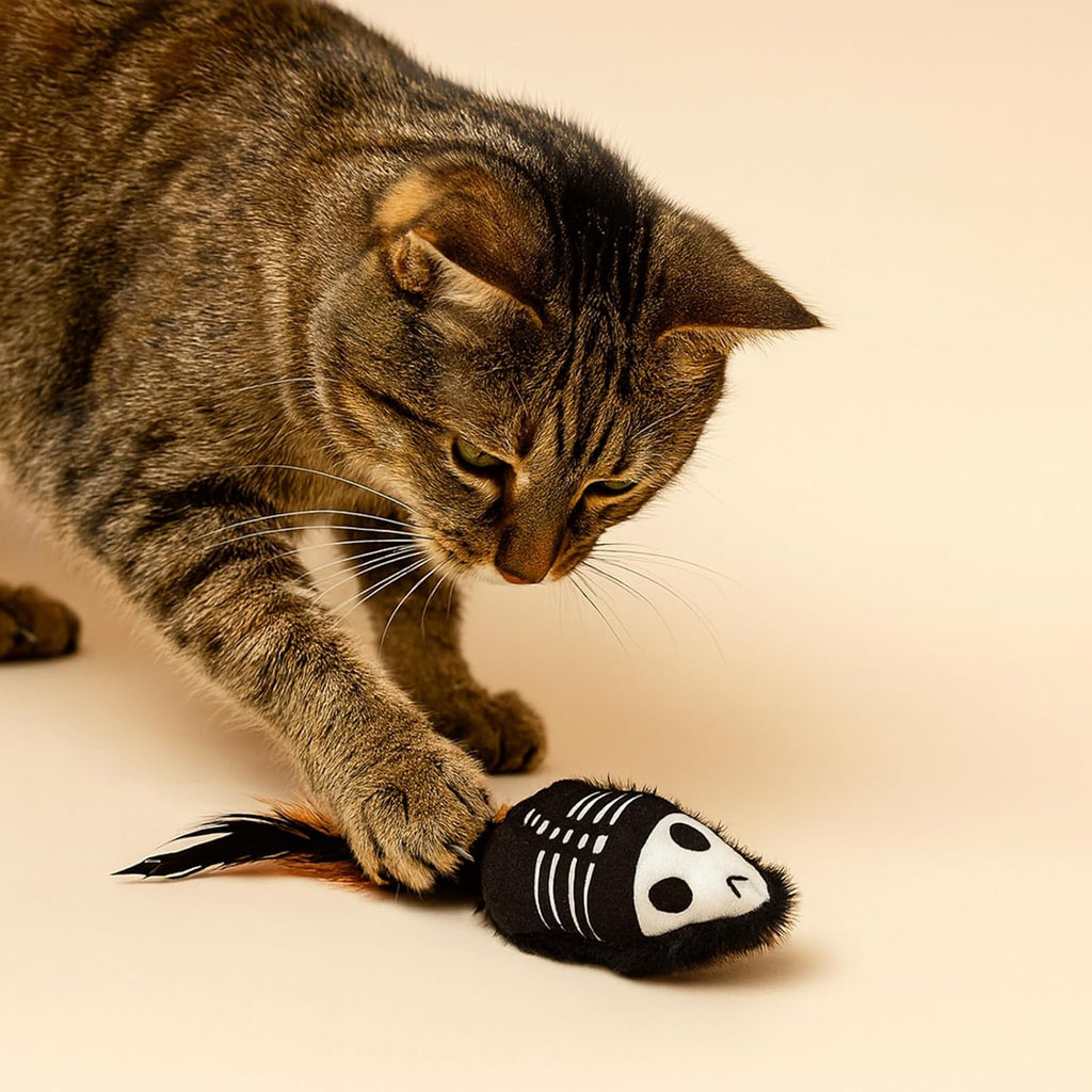 Halloween Cat Toys – 2-Pack Interactive Plush Fishbone and Mouse Bone Catnip Toys with Feather Tails for Indoor Cats
