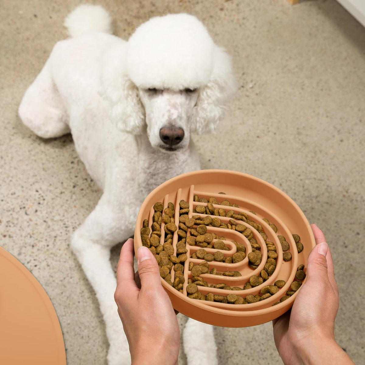 Slow Feeder Dog Bowl - Silicone Dog Bowl, Large, 9.5" x 1.5" - Terracota