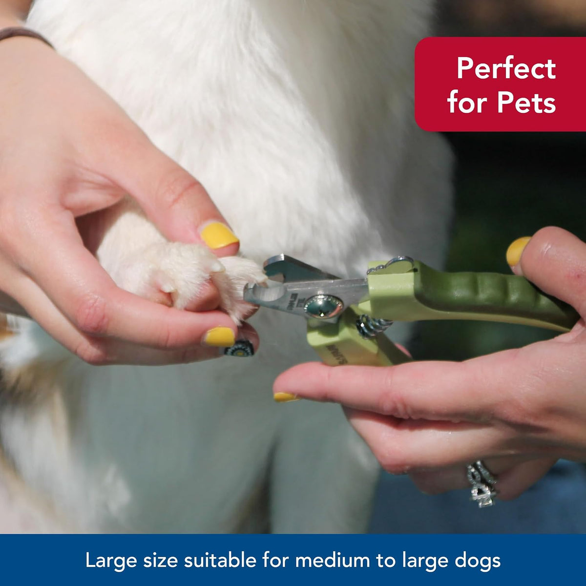 Safari by Coastal Professional Stainless Steel Nail Trimmer for Regular Trimming & Maintenance of Dog Nails