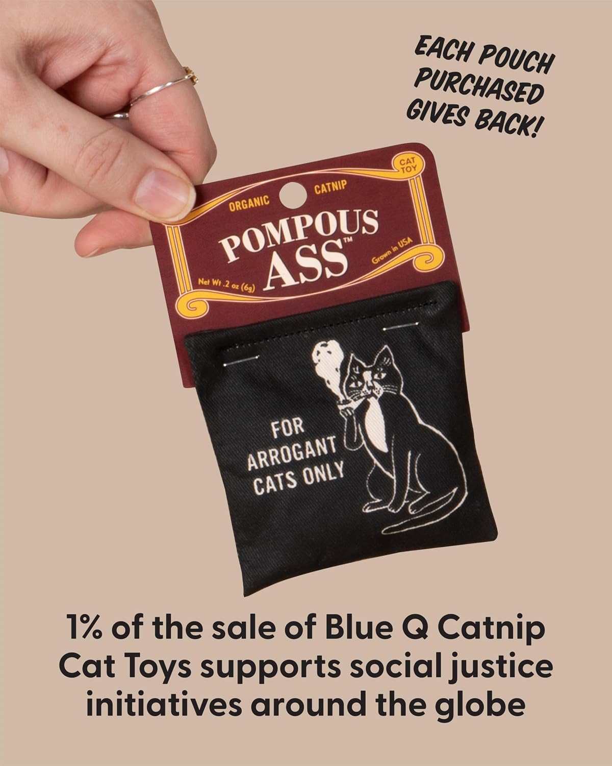 Blue Q Catnip - Cute Cat Toys for Biting with Funny Graphics - Pompous.