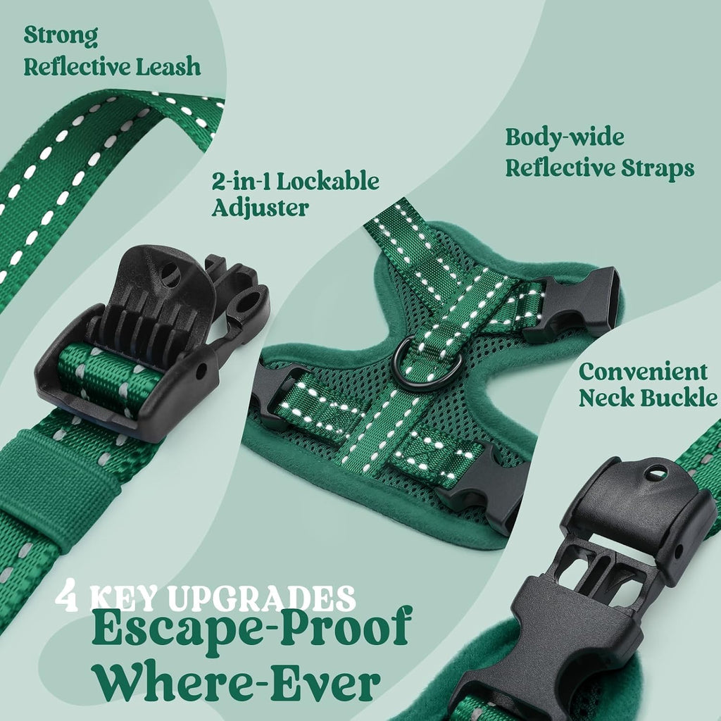 rabbitgoo Cat Harness and Leash, Easy-on with Neck Buckle, Dark Green