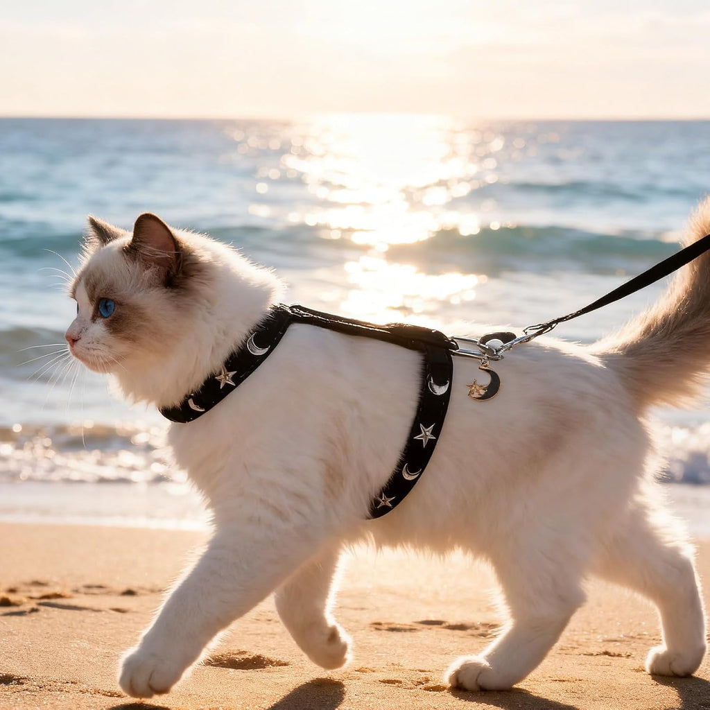 EXPAWLORER Cat Harness and Leash Set - Escape Proof Adjustable Cat Harness, H-shped Comfortable Soft Lightweight Kitten Harness for Outdoor Walking, for Small Medium Cats,Star-Moon M