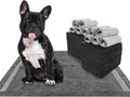 Dogcator Charcoal Dog Training Pads 100 Count, 22"x22" Puppy Pee Pads for Small Dogs, Activated Carbon Dog Pee Pads, Disposable Puppy Pads Pet Training Pads