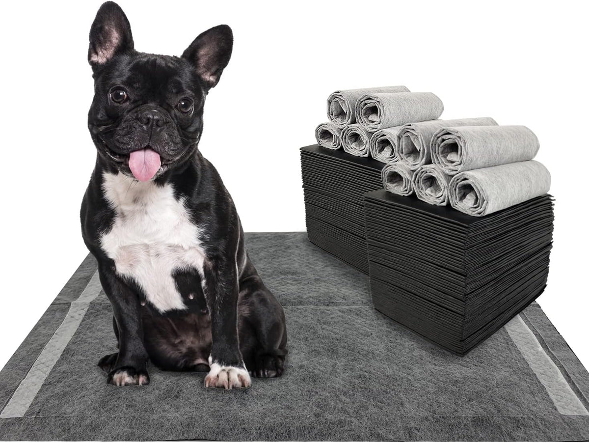 Dogcator Charcoal Dog Training Pads 100 Count, 22"x22" Puppy Pee Pads for Small Dogs, Activated Carbon Dog Pee Pads, Disposable Puppy Pads Pet Training Pads