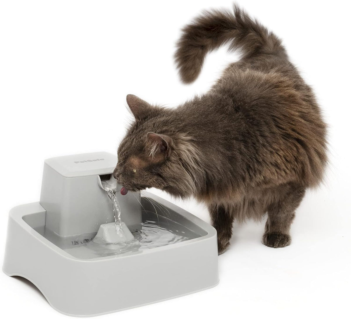 PetSafe Oasys Pet Fountain, 1/2 Gallon (64 oz), Small Dogs & Cats