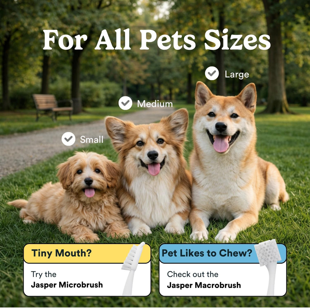 Jasper Dog Toothbrush, 360° Finger Toothbrush for Dogs & Cats, Blue 4-Pack | 12x More Bristles, Teeth Cleaning Kit for Small & Large Pets, Toothpaste Not Included, Fights Bad Breath, Extra Soft Silicone 
