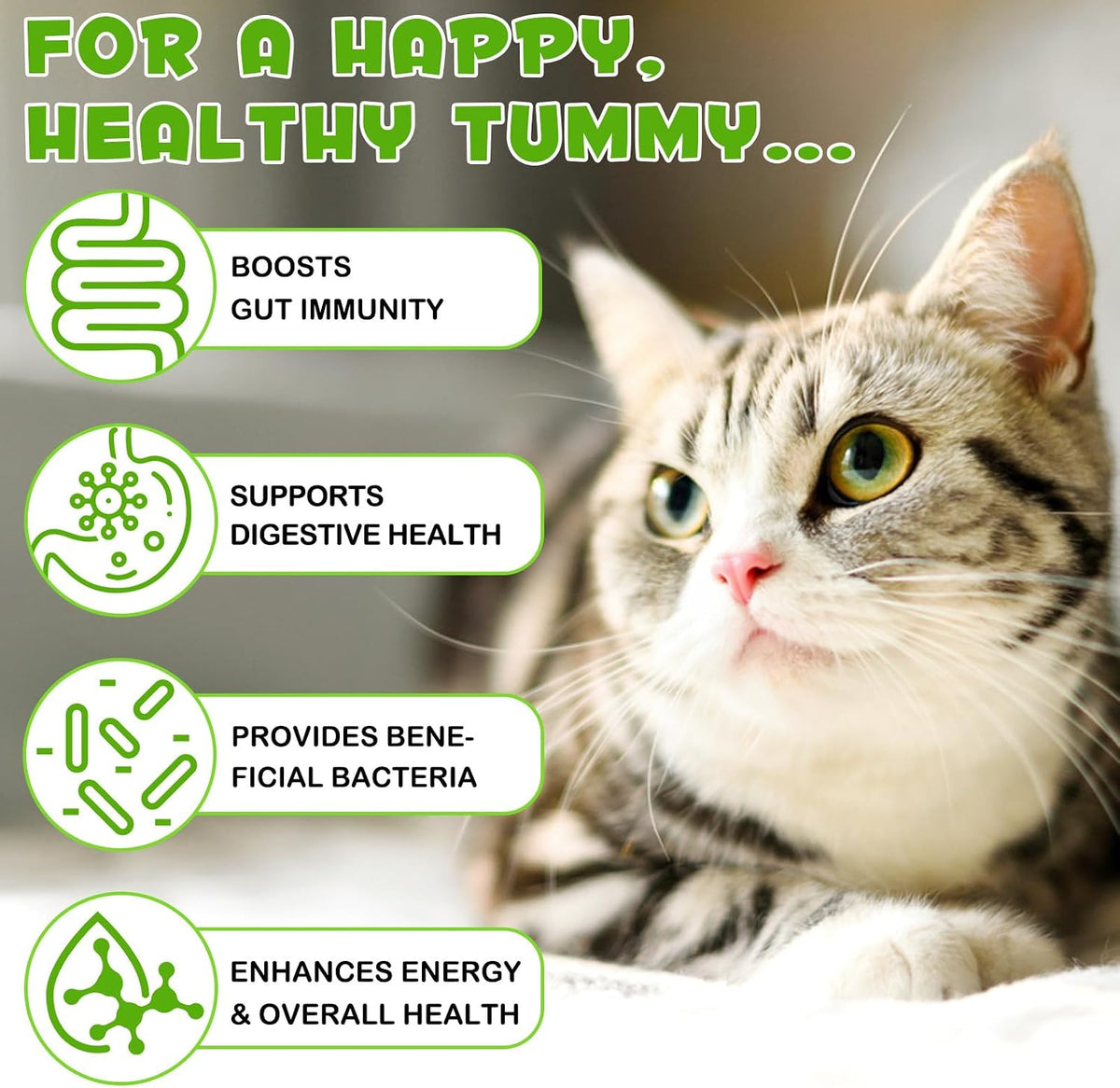 3 in 1 Probiotics for Cats Help with Gut, Upset Stomach, Diarrhea, Bloating